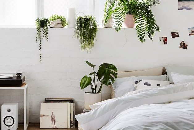 8 dormitorios con plantas para que te inspires
